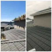 Gutter clean $450 For 10hp SKYVAC gutter Vacuum & Downpipe Flush