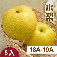 在飛比找台灣好農優惠-【雙連梨】水梨18A-19A 5入