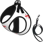 Flag Map of Georgia print Dog Harness and Leash Set, Reflective Adjustable Puppy Vest for Small Medium Large Dogs, Cats