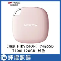 在飛比找蝦皮購物優惠-【HIKVISION 海康】T100I 120GB外接式SS