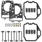 Cylinder Head Intake Exhaust Valve Kit Fits Kawasaki Vulcan 900 VN900 2006-2020