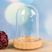 Glass Dome w/ clear Varnished base Miniature Garden Cloche display dome case