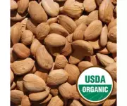 Organic Sweet Turkey Apricot Roasted Seed Kernel 500 gram