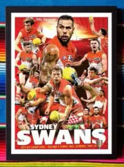 Framed 2022 SYDNEY SWANS AFL Poster LANCE FRANKLIN Grand Final - 84 x 59 x 3cm