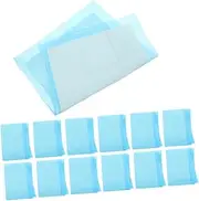 MINAOLULUS 100pcs Disposable Changing Pad Puppy Pads Pee Pads Dog Cat Pee Pad Pet Changing Pad Potty Pads for Cats Dog Accessories Girl Wee Pads for Dogs Sky-Blue Non-Woven Fabric