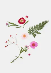[SHRINE] Pink Pressed Flower Cosmetic Decals