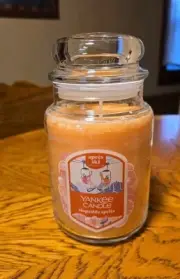 NEW Yankee Candle SLOPESIDE SPRITZ 22oz LARGE Jar Candle APRES SKI COLLECTION
