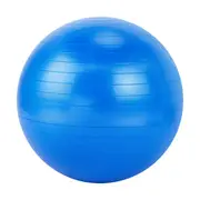 65cm Gym Ball