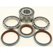 All Balls Rear Differential Bearing and Seal Kit 25-2098