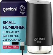GENIANI Mini Cool Mist Humidifiers for Bedroom - Quiet Ultrasonic Humidifier for Home, Baby Room with Auto Shut Off & Light - Small Car Humidifier, 250ml (Black)