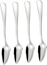OKUMEYR Feeding Spoons Set of 4 Stainless Steel Scrapers for Grapefruit Fruit Puree Preparation