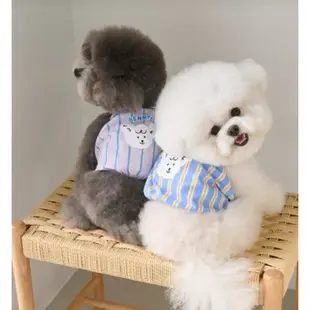 Benny's Puppy 狗狗短款上衣，韓國買的