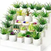 26Pcs Miniature Potted Plants, Mini Artificial Plants, 1:12 Scale Doll House Accessories, Suitable for Dollhouse Decoration, Christmas Birthday Gifts, DIY Handicrafts
