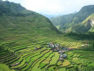 巴塔頂點觀景點家庭旅館及餐廳Batad Top View Point Homestay and Restaurant