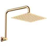 Fienza Tono Gooseneck Shower Arm & Head Set Urban Brass 411129UB-A SEND OFFER!!