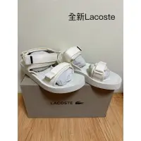 在飛比找蝦皮購物優惠-<全新>lacoste Costco 好市多 涼鞋 us7(