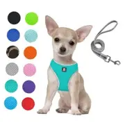 Dog Harness and Leash Set- Adjustable Reflective Step in Harness XS Lake Blue