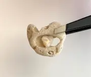 Natural Holey Beach Rock w/Heart-shaped Shell❤️Hag Stone Love Wish Fairy Adder e
