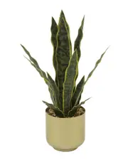 The Novogratz Snake Artificial Plant with Realistic Leaves and Porcelain Pot