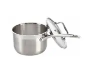 Iconix Saucepan with Lid Size 20Cm Baccarat