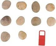 MUELODSIC 10 Pack Boys and Girls Drawing Stones Set with Bracket Hand-Painted Rocks for Home School Art Activities