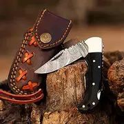 Handmade Black Horn Damascus Twist Pattern Steel Pocket Knife Folding Hunting Camping Hunting Expert