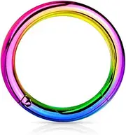 [BodyJewelryOnline] Anodized Hinged Segment Hoop Ring Multiple Use 10G