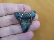 S228-1) 1-5/8" Fossil MEGALODON Shark Tooth Teeth copper wired pendant JEWELRY