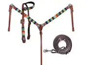 Showman Rainbow Beaded Leather Headstall & Breast Collar Set