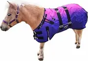 1200D Miniature Weanling Donkey Pony Horse Foal Winter Blanket 51981