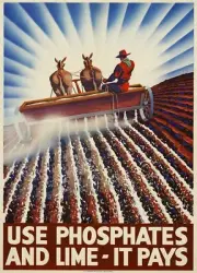 USE PHOSPHATES AND LIME IT PAYS World War 2 Giclee Poster Fine Art Repro 24x34