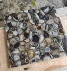 Natural Agate Stone Coffee Table, Centerpiece Agate Table For Modern Decor