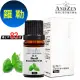 【 ANDZEN 】單方純精油10ml-羅勒 天然 草本