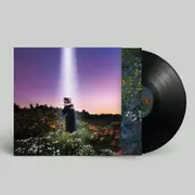 Let's Just Say The World Ended A Week From Now, What Would You Do? (Vinyl)