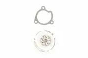 Safety Auto Parts Water Pump-DOHC, Eng Code: QR25DE, 16 Valves Item #PW11-003