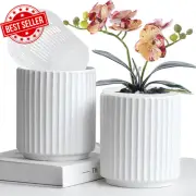 2Pack White Ceramic Orchid Pots Planter with Drip Trays and Cymbidium Basket wit