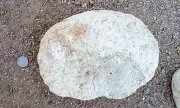 Real Fossilized Dino Egg-HUGE Partial, 14 Lbs! Hand Picked. SALE PRICE!