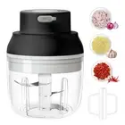 Electric Garlic Chopper, 250ML Garlic Grinder 2 in 1 Mini Vegetable Chopper w...