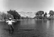 Fly Fisherman On The Jefferson River In Montana 1961 OLD FISHING PHOTO