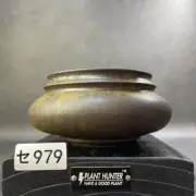 Handmade Ceramic 5.5 Inch Plant Pot Agave Pachypodium Caudex Succulent Japan New