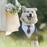 寵物狗西裝禮服結婚寫真拍照小中大型犬西服燕尾服柯基柴犬衣服 HHIC