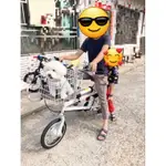 〔台灣現貨〕母親節禮物 寵物電動輔助腳踏車 電動腳踏車 電動自行車 電動滑板車 單車 腳踏車