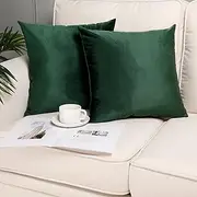 Pack of 2, Velvet Super Soft Solid Decorative Square Throw Pillows Covers Set Cushion Case for Sofa Bedroom Car 18 x 18 Inch 45 x 45 cm Dark Green