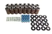 Crow Cams Spring Kit Single For Holden V8 LS1 LS2 LS7 .550in. Max. Lift 1.780in. Installed Height 120 Installed Pressure Kit VTKLS1
