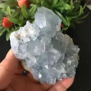 450g National Blue Celestite Crystal Geode Cave Mineral Specimen Mh1041