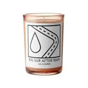 [D.s. & durga] Ds & durga Big Sur After Rain candle 200g