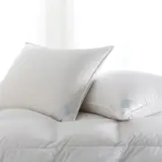 Scandia Home Copenhagen Medium Down Pillow, King