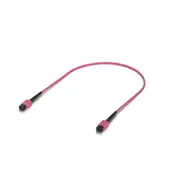 Ubiquiti Indoor OM4 Multi-mode Fiber Patch Cable, 0.5M, Single-pack, With MPO-12 Type B UPC Connectors, Designed For 100G Applications