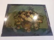 National Gallery of Art Photograph Negative Transparency of Van Gogh's "Roses"