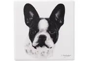 Ashdene Delightful Dogs - French Bulldog Ceramic Coaster